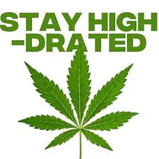 Z StayHighDrated Logo