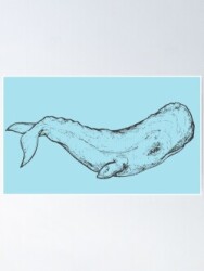 Sperm Whale Logo