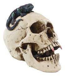 Iguana Vampire Logo