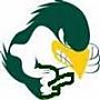 Dirtybirds logo