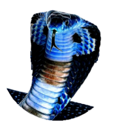 blucobras logo