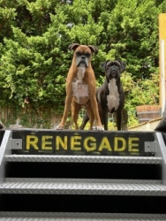 RENEGADE logo
