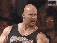 Stone Cold Stunners 6