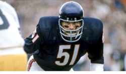 BUTKUS BULLDOZERS