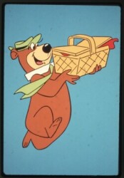 Yogi DM 100 9