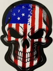 American Rebel