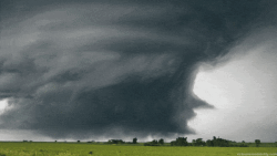 NC Hurricanes