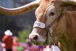 Hookem 10