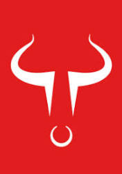 Raging Bulls Logo