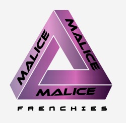 Touch of Malice Logo