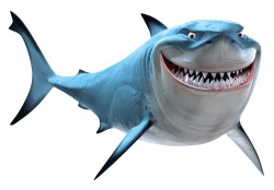 Seabrook Island Sharks Logo