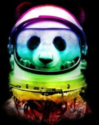 Space Panda Logo