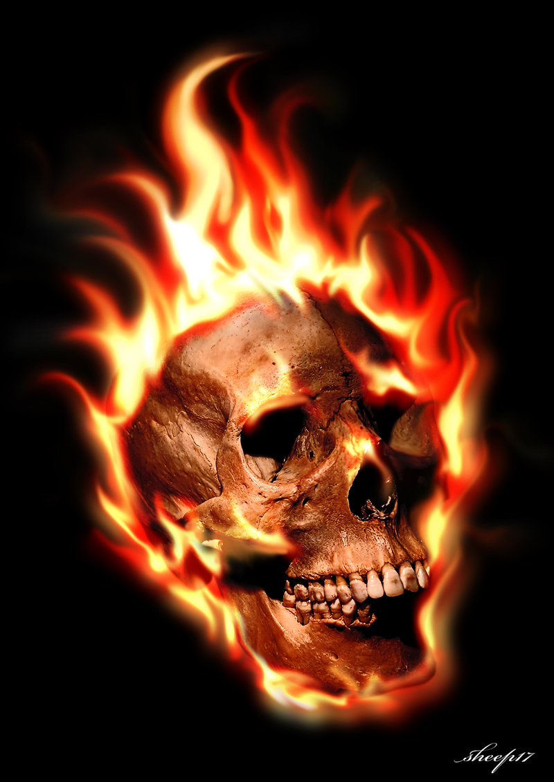 Skullcrushers Logo