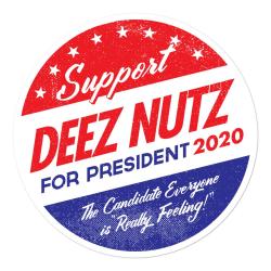 Ds Nutz Logo