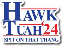 Hawk Tuah '24 Logo