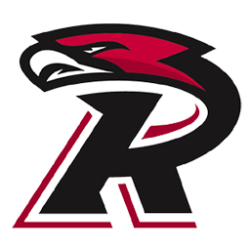 R's Logo