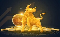 MikW - Bitcoin Bulls Logo
