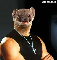 Weasels Logo