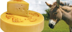 Cheese Donkeys Logo