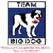 Team BIG DOG Logo