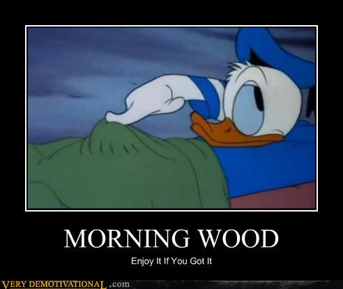 Morning Wood Logo