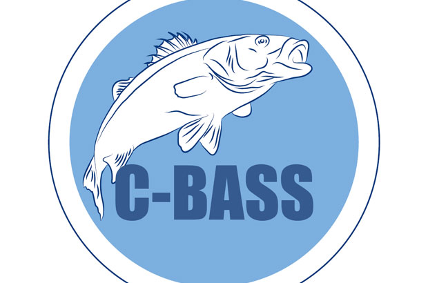 C-Bass Logo
