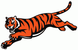 Tigercats Logo