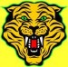 E'ville Wildcats Logo