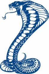 Clearwater Cobras Logo