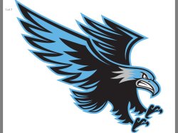 12 Angry Hawks Logo