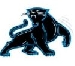 Bob's Panthers Logo