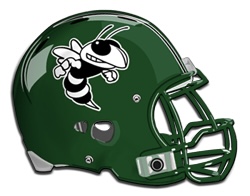 The Stingers Logo