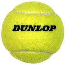 Fuzzy Dunlop Logo