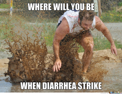 Diarrhea Land Logo