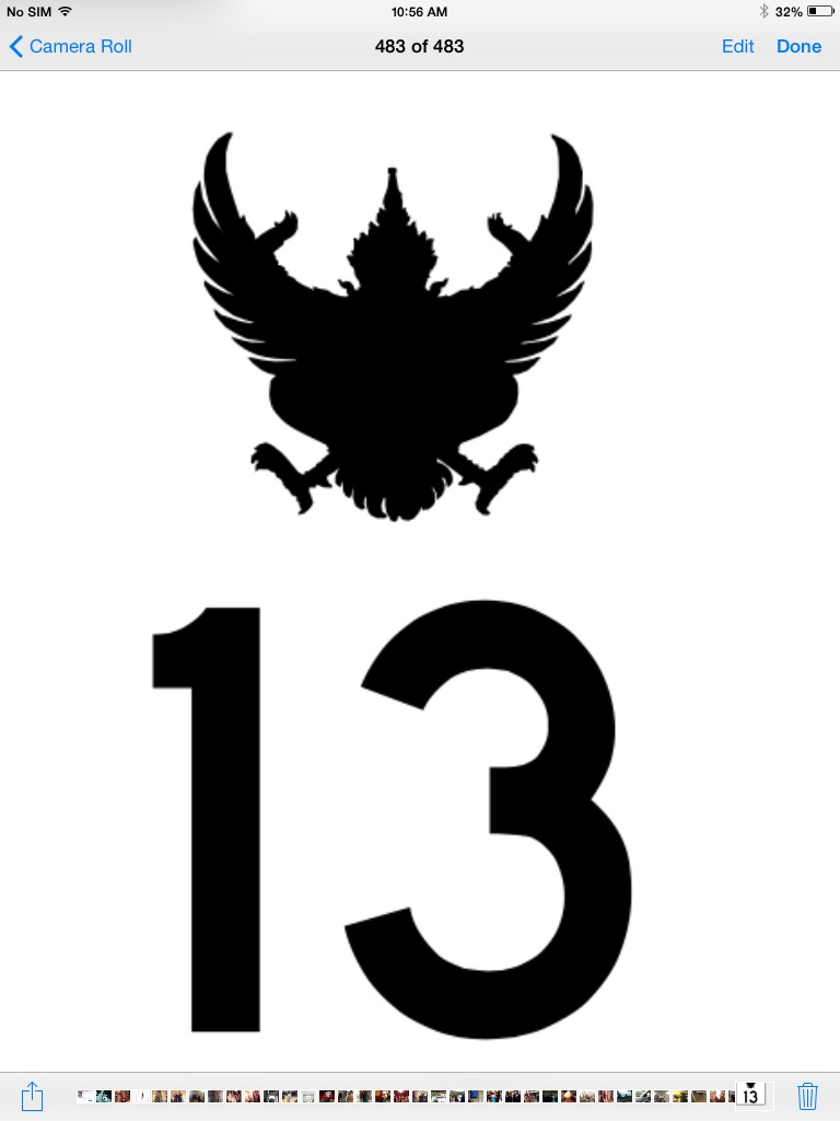 Team 13 Logo