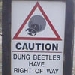 Dung Beetles Logo