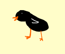 Baltimore Crows Logo