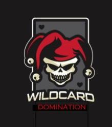 the WILDcards Logo