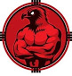 BRIAN & HAWK Logo