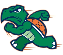 Toronto Turbo Turtles Logo