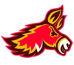 Denver Donkeys Logo
