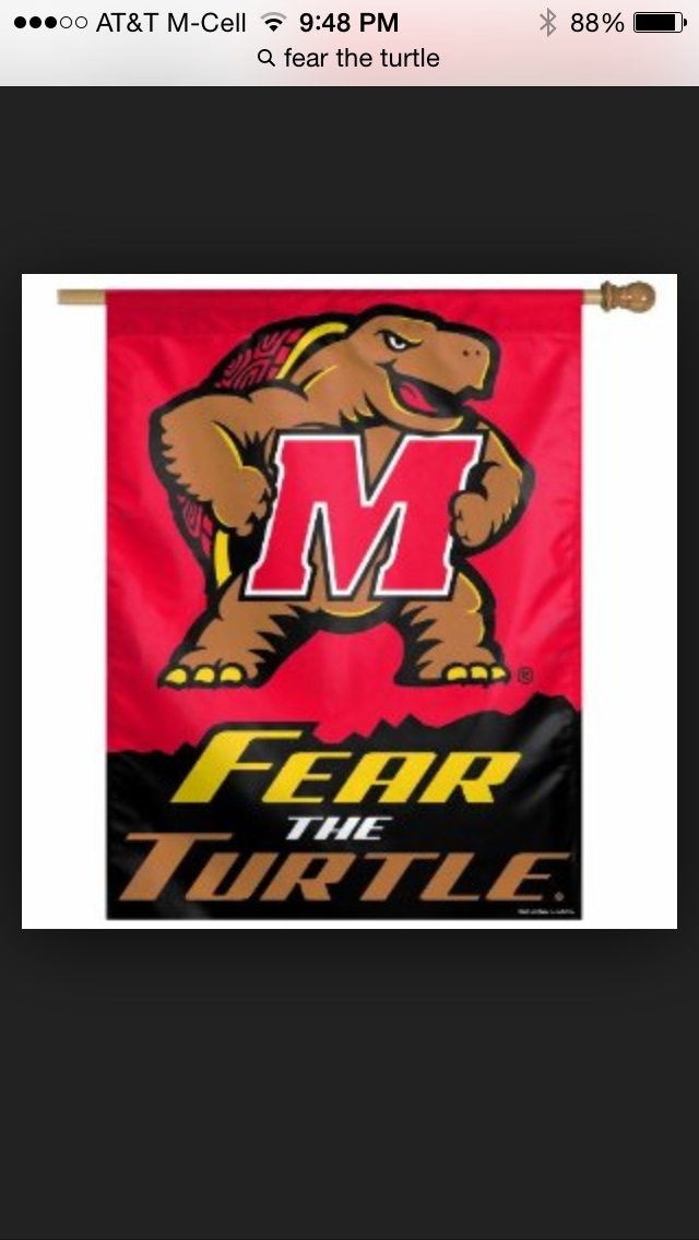 Fear the Turtle Logo
