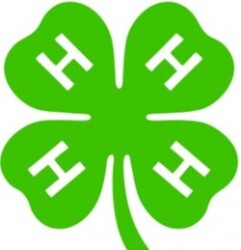 Four H TEs Logo