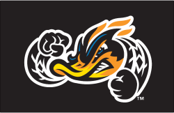 Oregon Fighting Ducks Logo