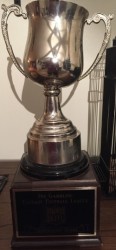 Die Gambling Fantasy Football League