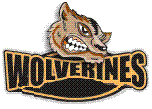 Wolverines Logo