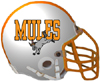 Mt. Horeb Mules Logo