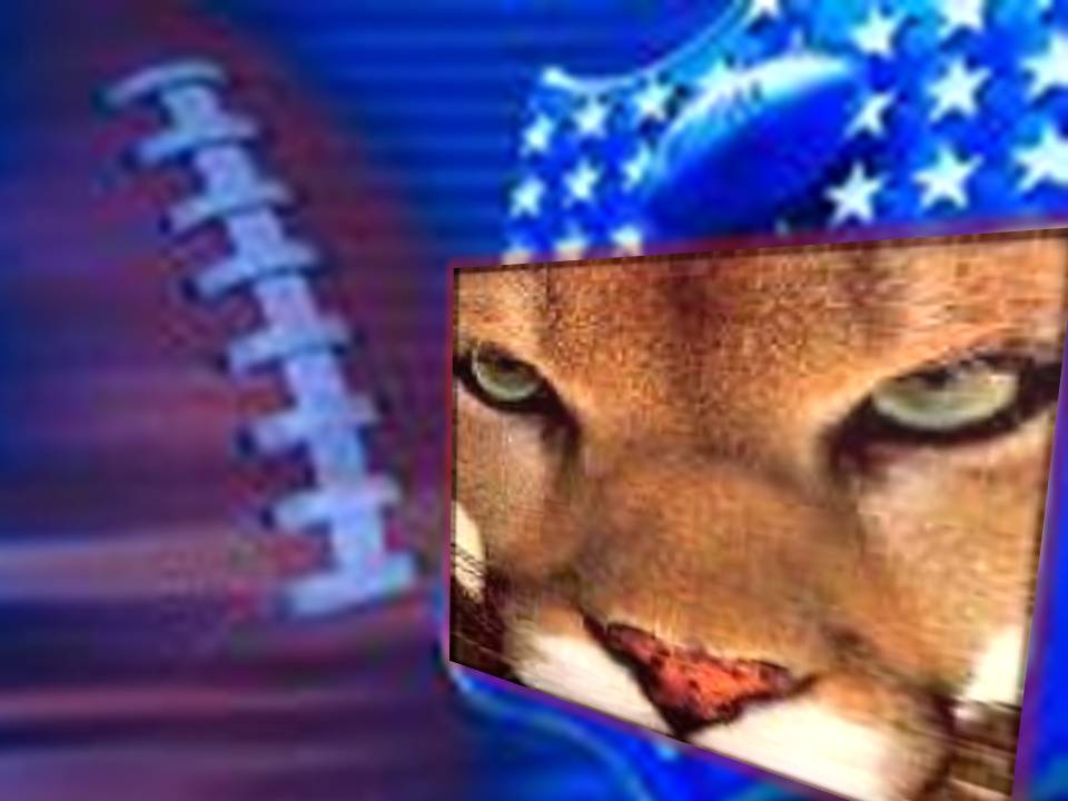All American Cougars Logo