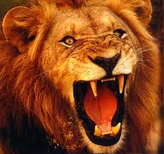 The Lion King Logo