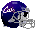 Louisville Stray Cats Logo